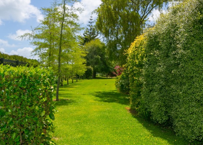 129 Richmond Road, Brixton