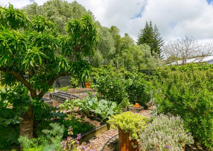 129 Richmond Road, Brixton