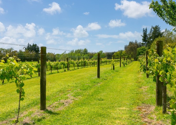 129 Richmond Road, Brixton