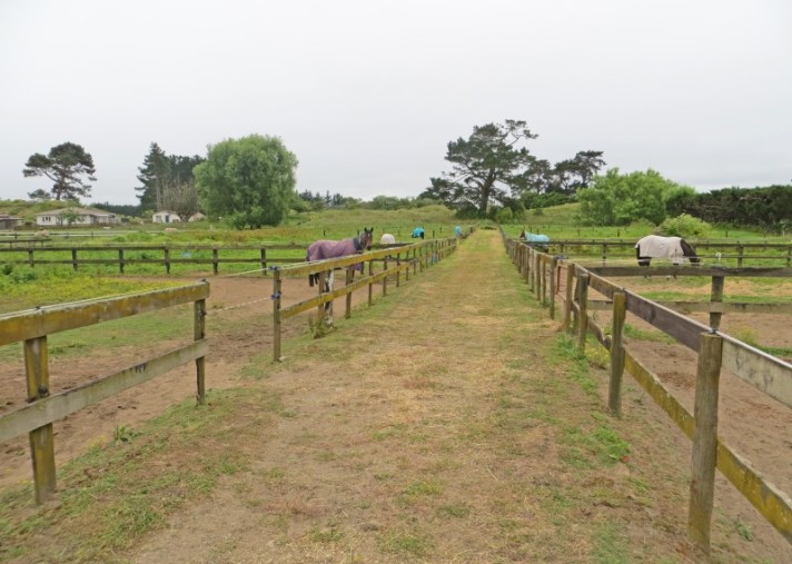 77A Norbiton Road, Foxton