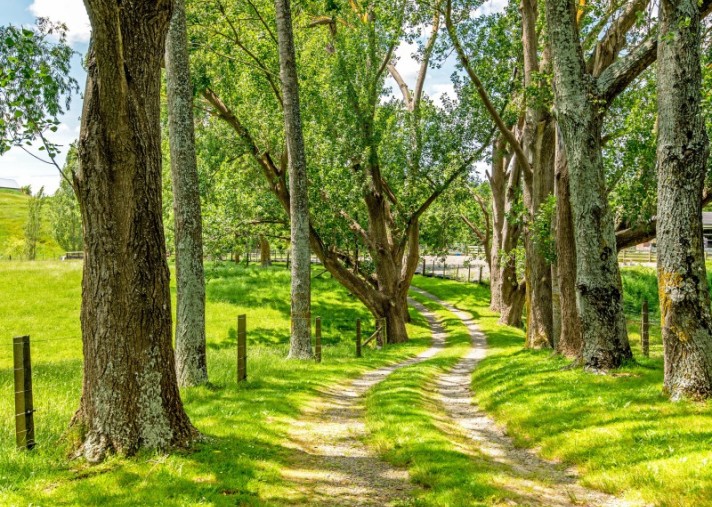 26 Williams Road, Tokomaru