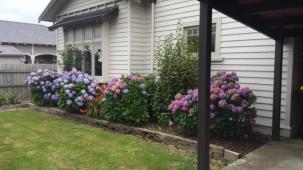 64 Robertson St, Richmond