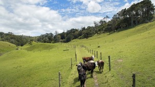 42 and 34 Cemetery Road, Pollok