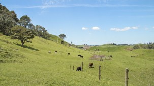 42 and 34 Cemetery Road, Pollok