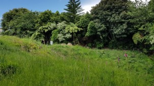 9b Larsen Place, Merrilands