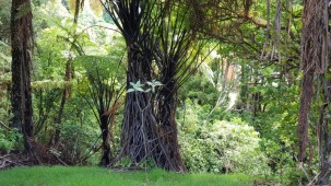 9b Larsen Place, Merrilands