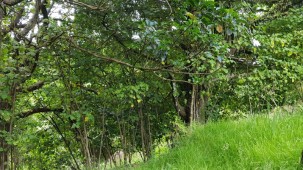 9b Larsen Place, Merrilands