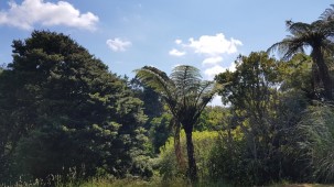 9b Larsen Place, Merrilands