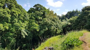 9b Larsen Place, Merrilands