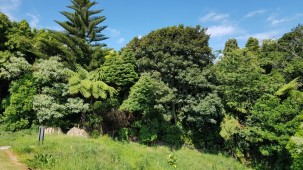 9b Larsen Place, Merrilands