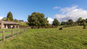 7 Ascot Vale, Tikitere