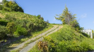 5 McCarthy Grove, Clouston Park