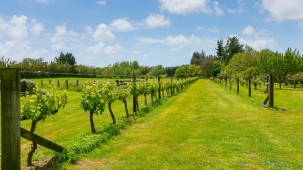 129 Richmond Road, Brixton