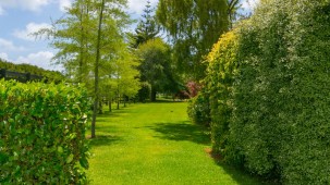 129 Richmond Road, Brixton