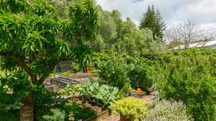 129 Richmond Road, Brixton