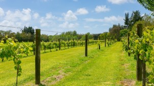 129 Richmond Road, Brixton