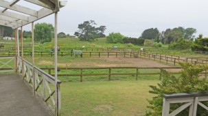 77A Norbiton Road, Foxton