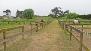 77A Norbiton Road, Foxton