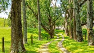 26 Williams Road, Tokomaru