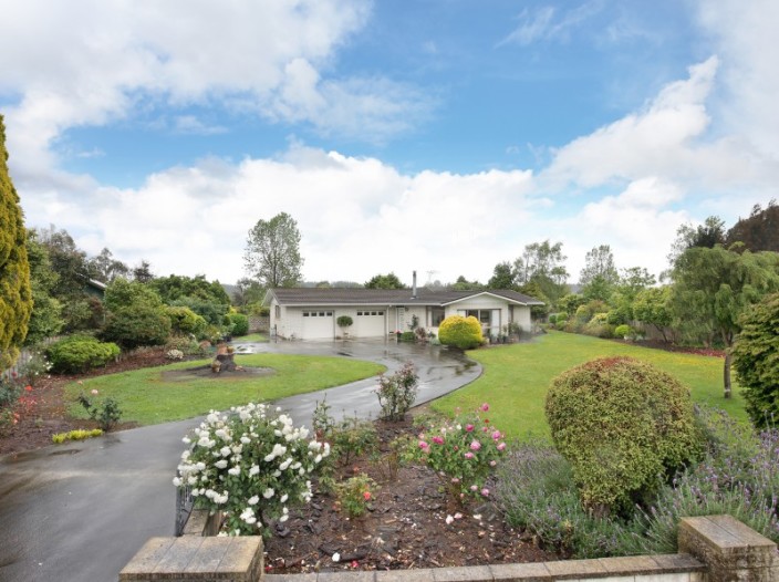 166-high-street-bulls