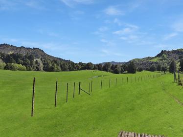 Taumarunui