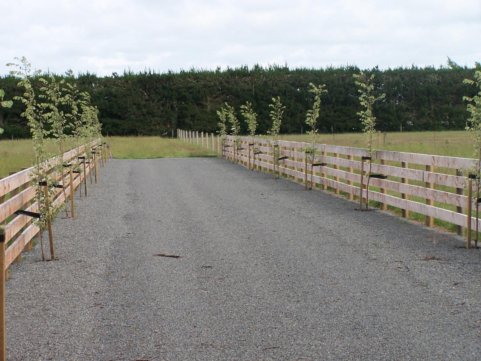 Lot 7 Murdochs Road, Ashburton