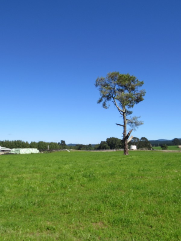 6261 State Highway 1, Upper Atiamuri