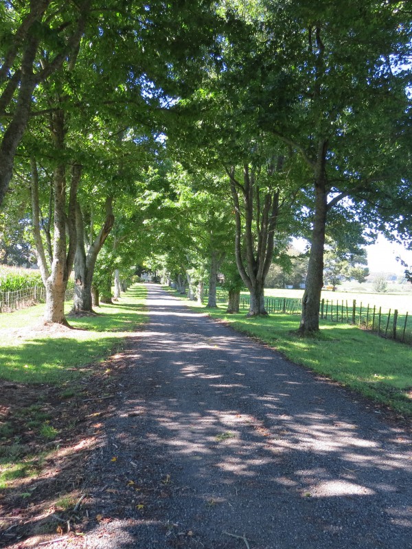 6261 State Highway 1, Upper Atiamuri