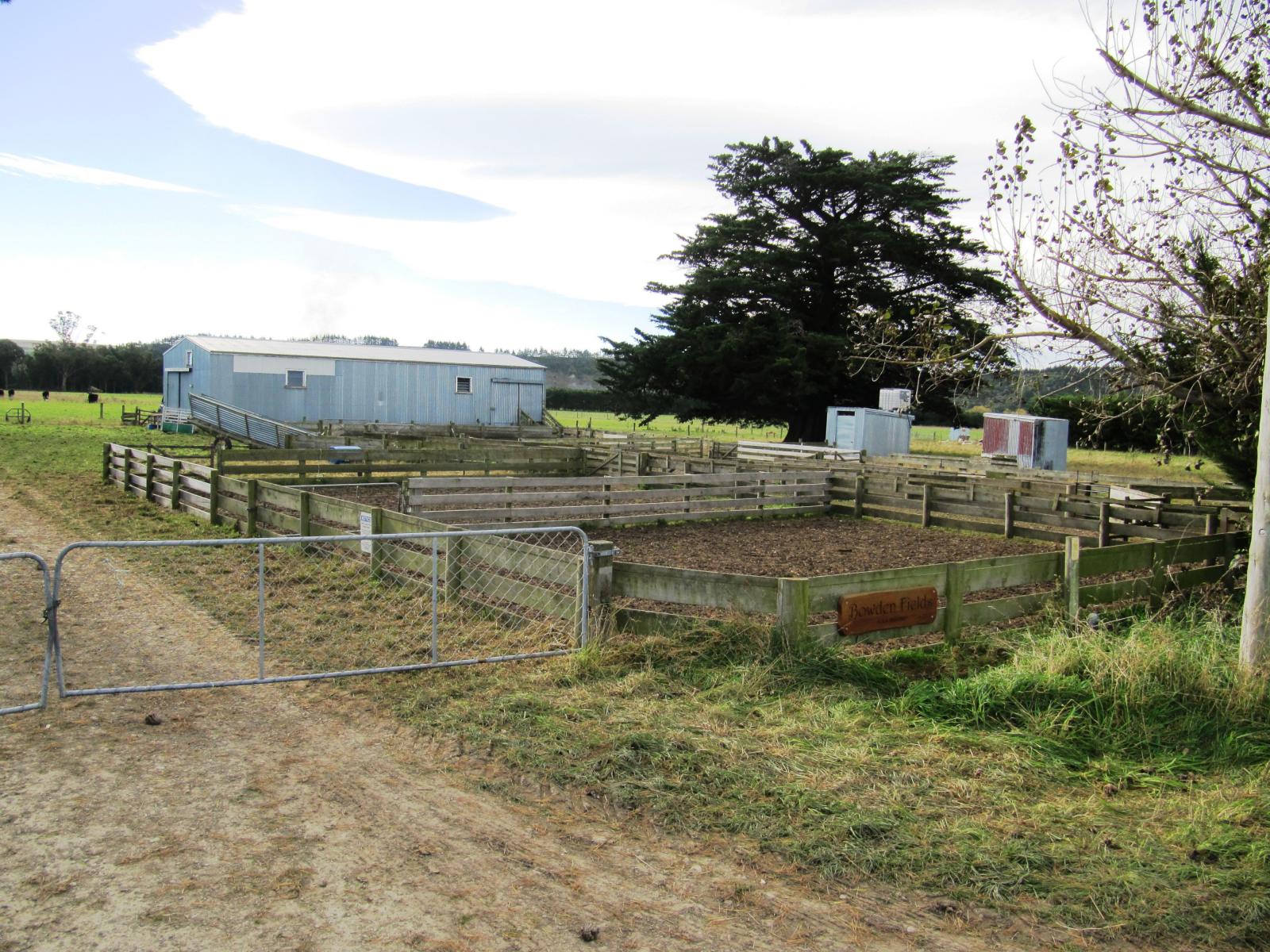 Blue Cliffs Road, Waimate
