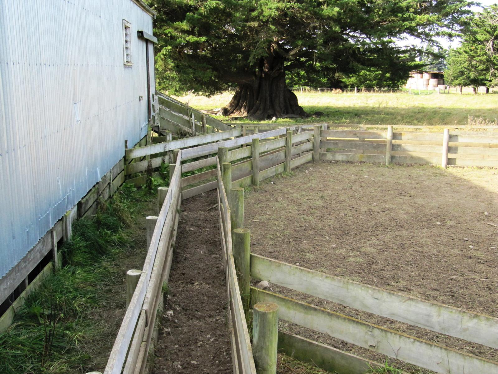 Blue Cliffs Road, Waimate