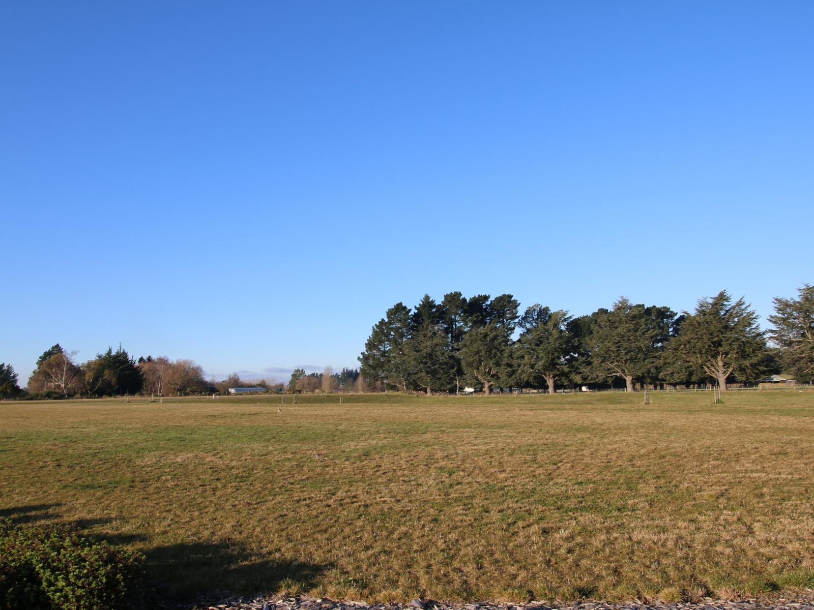 37 Redhaven Rise, Netherby