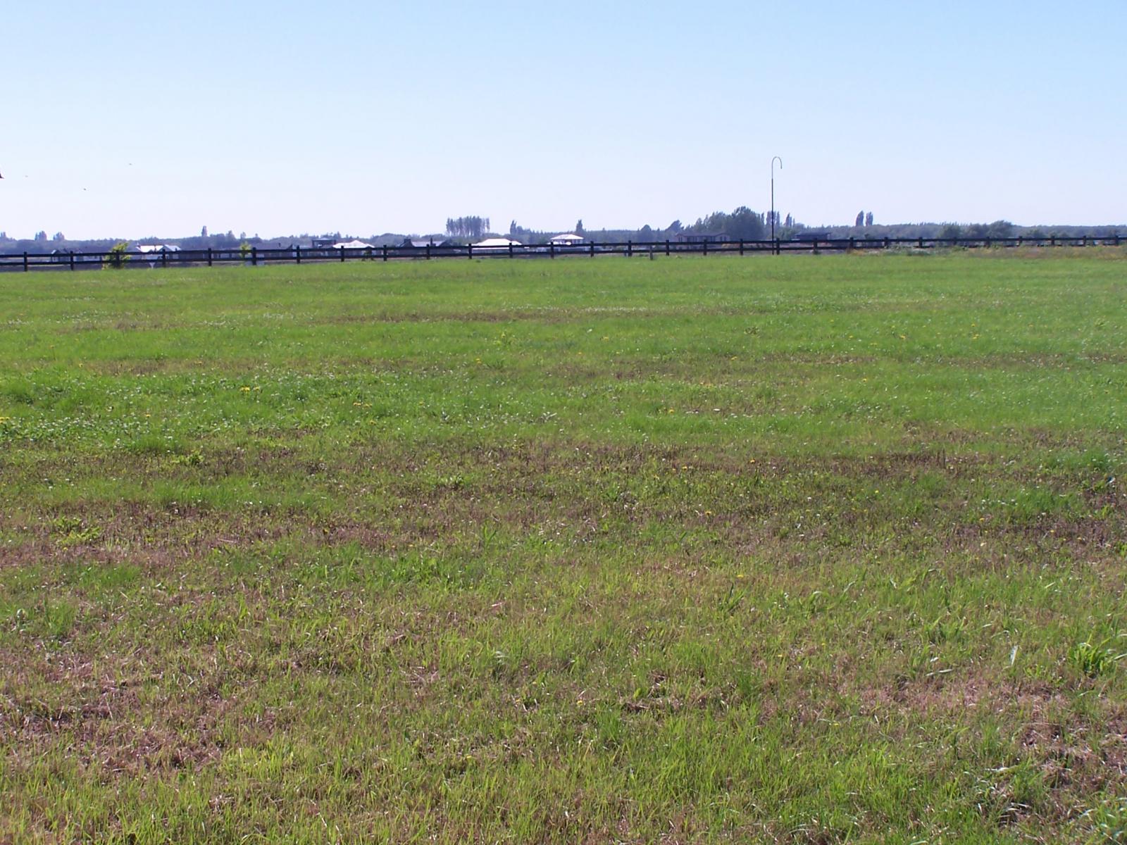 7 Lake View Terrace, Ashburton