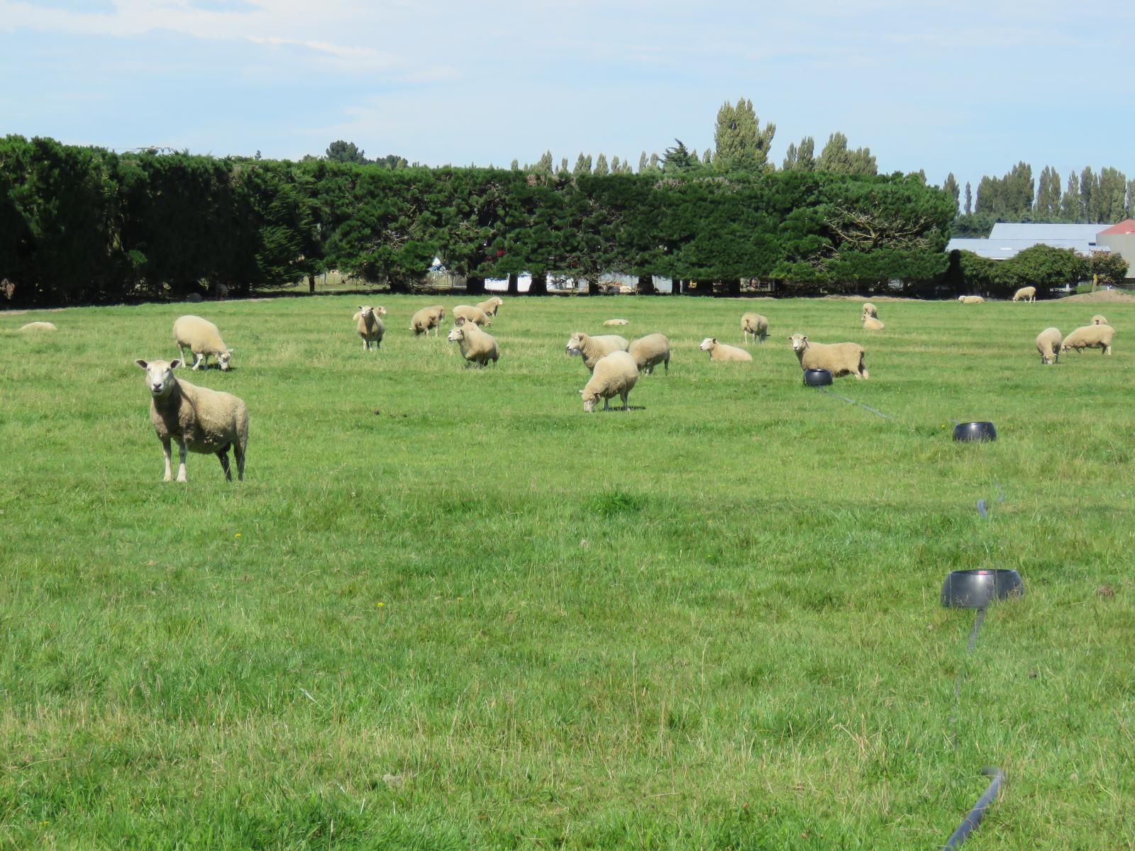 552 Methven Highway, Winchmore