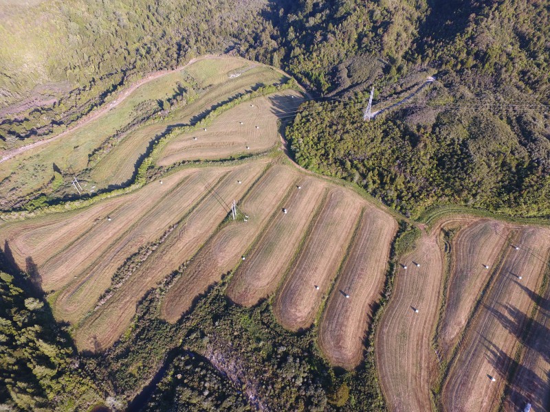 1255 State Highway 67, Waimangaroa