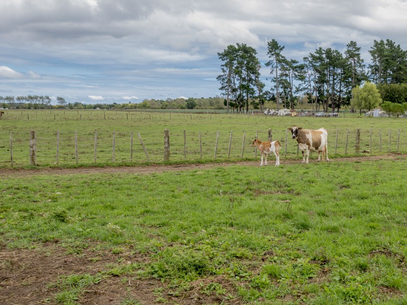213 Hokio Beach Road, Levin