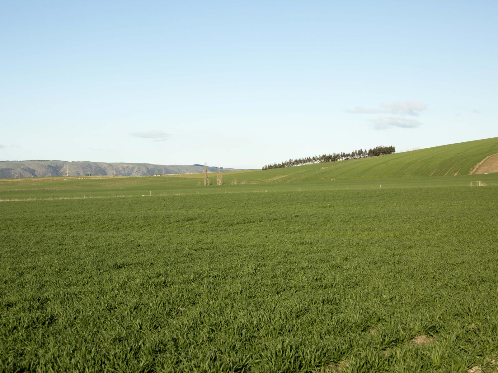 761 Mt Nessing Road, Albury