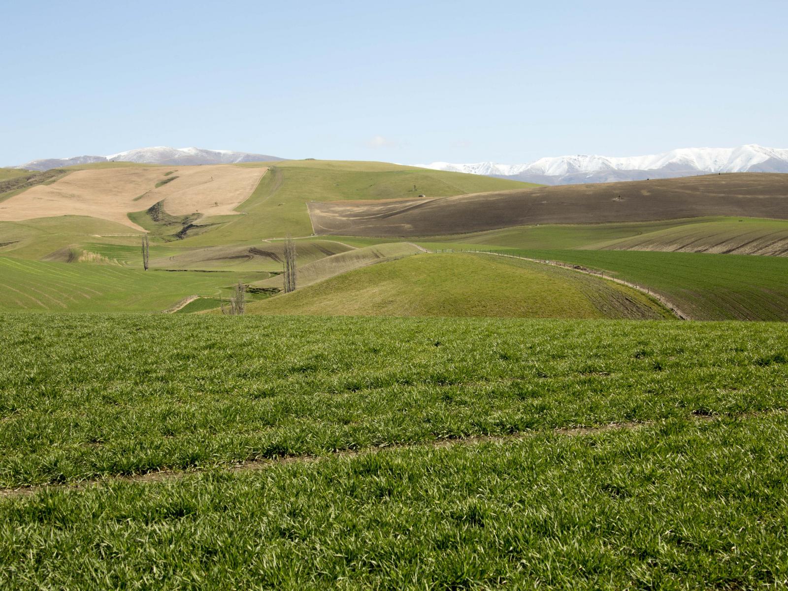 761 Mt Nessing Road, Albury