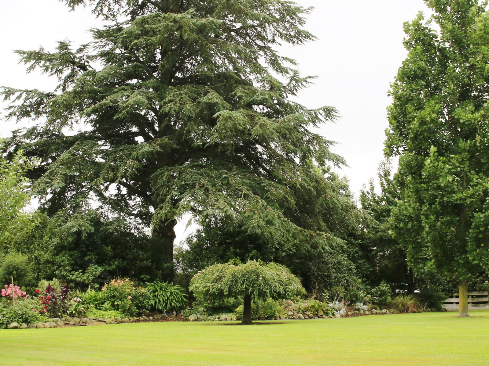 61 Albert Street, Netherby