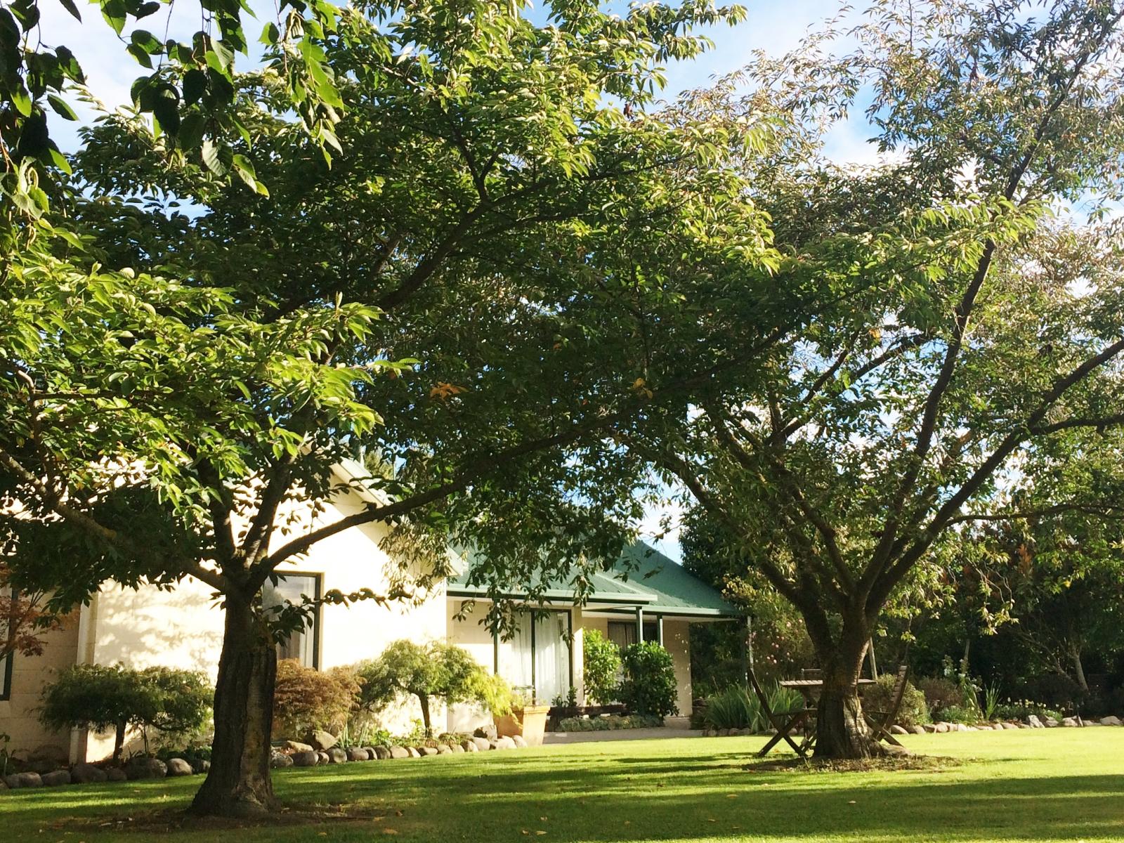 61 Albert Street, Netherby