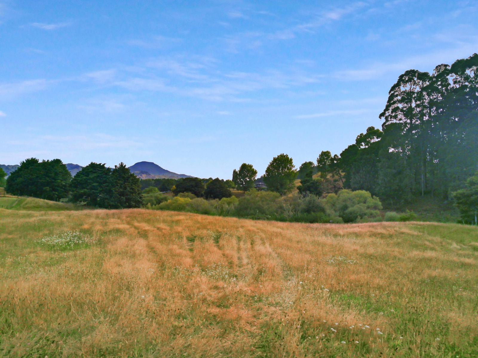 3, Riviera Place, Taumarunui