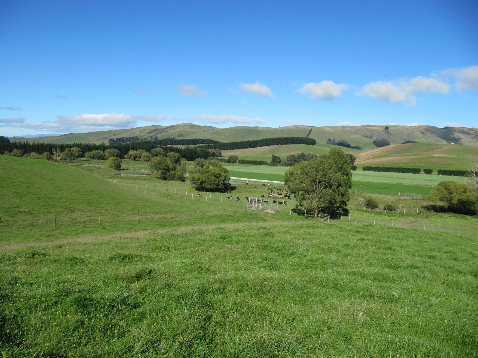 46 Taiko Hall Road, Taiko