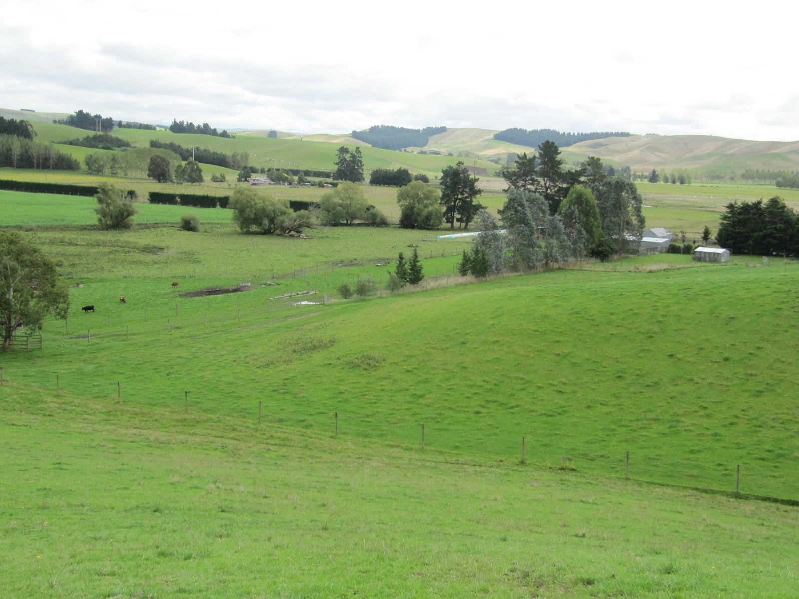 46 Taiko Hall Road, Taiko