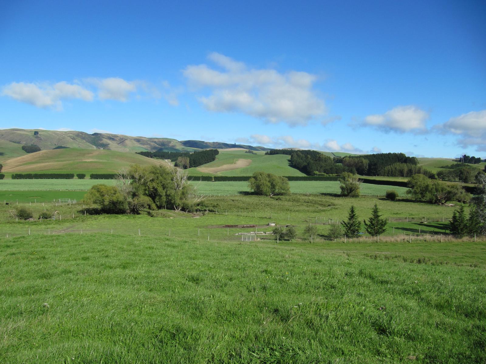 46 Taiko Hall Road, Taiko