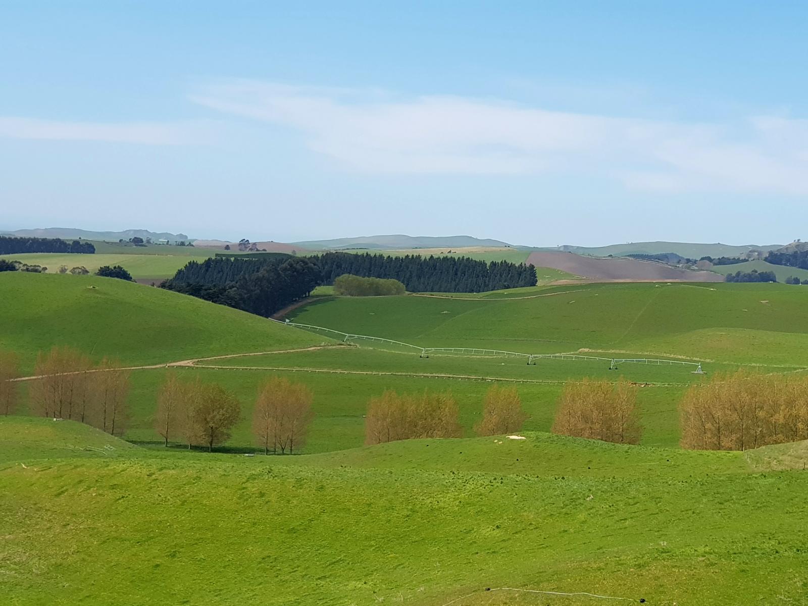 129 Shearers Hill Road, Waimate