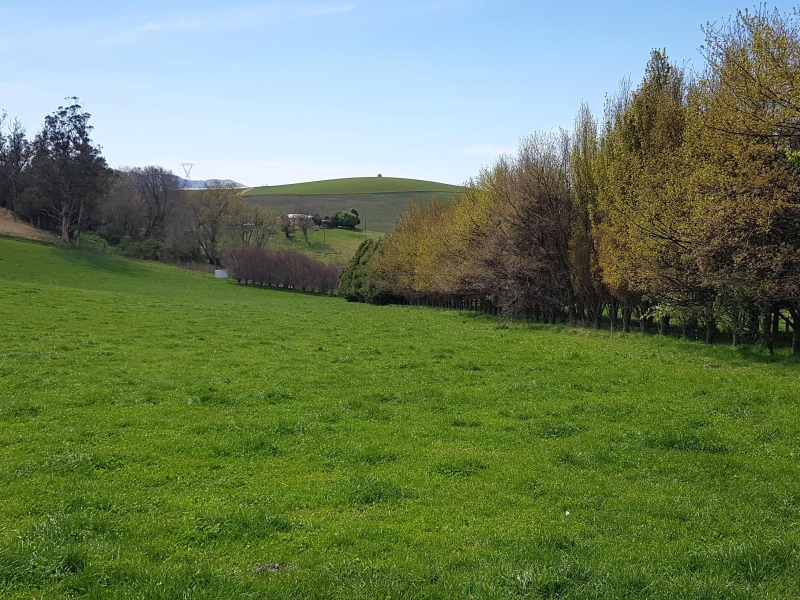 129 Shearers Hill Road, Waimate