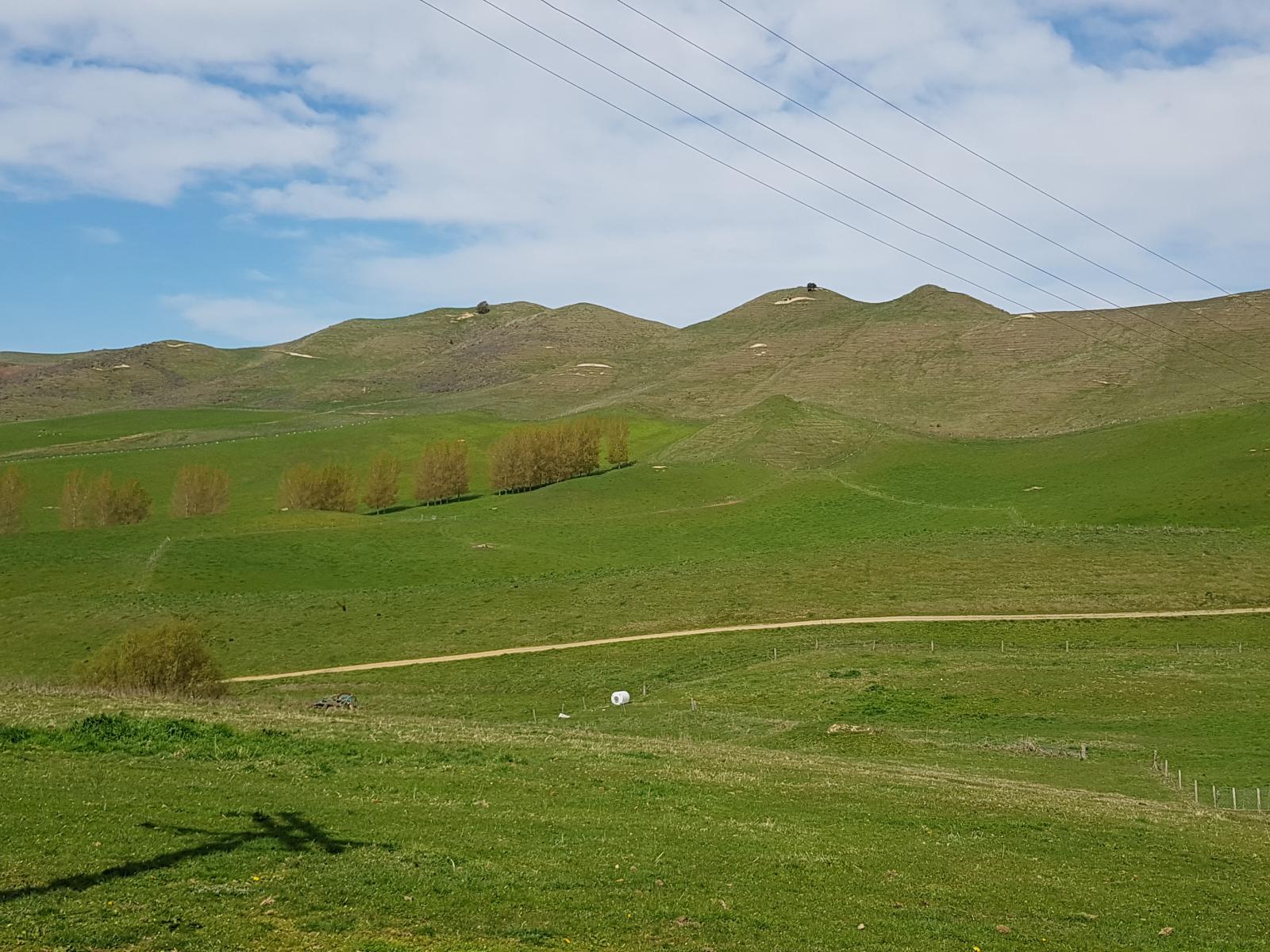 129 Shearers Hill Road, Waimate