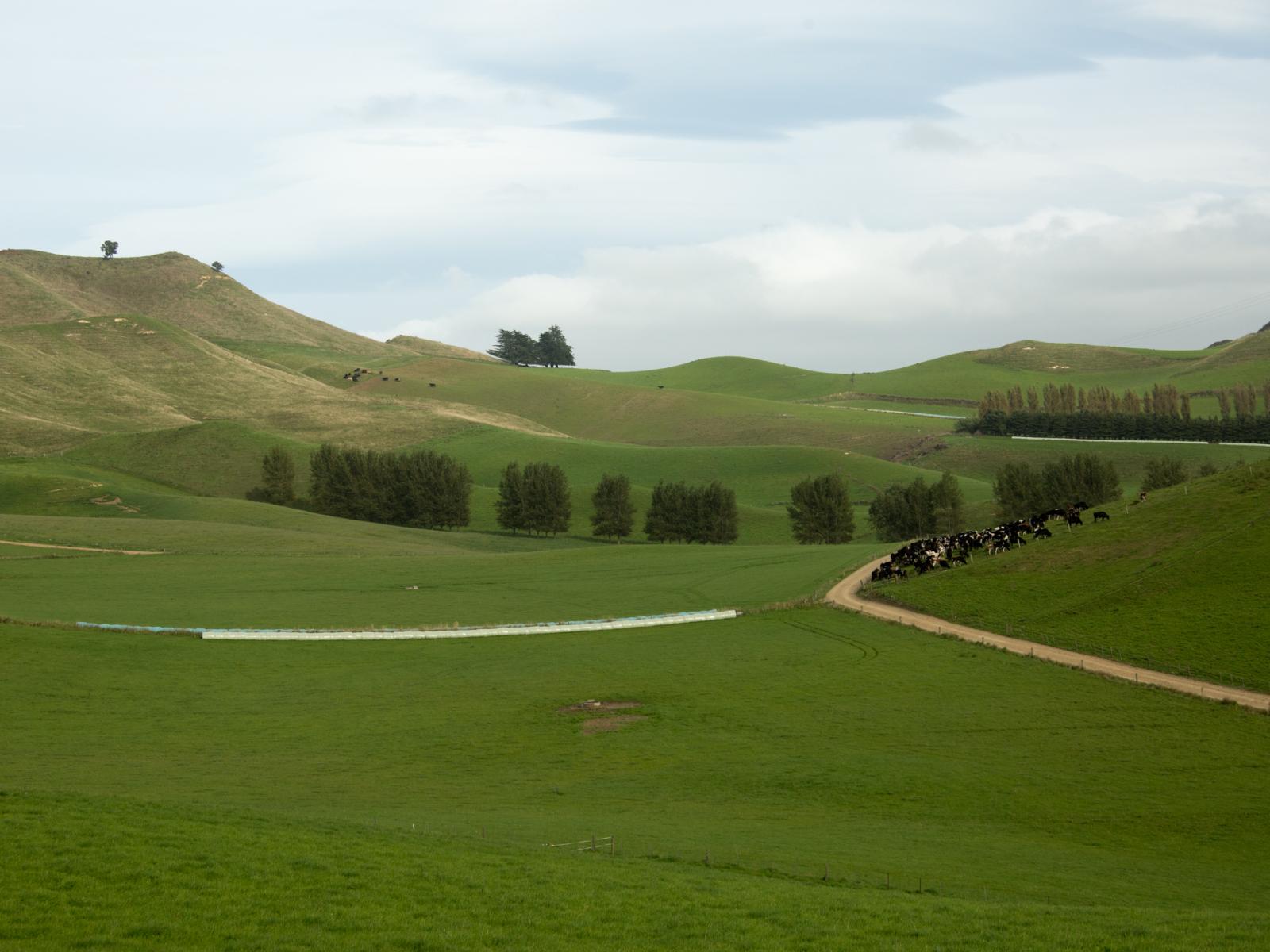 129 Shearers Hill Road, Waimate