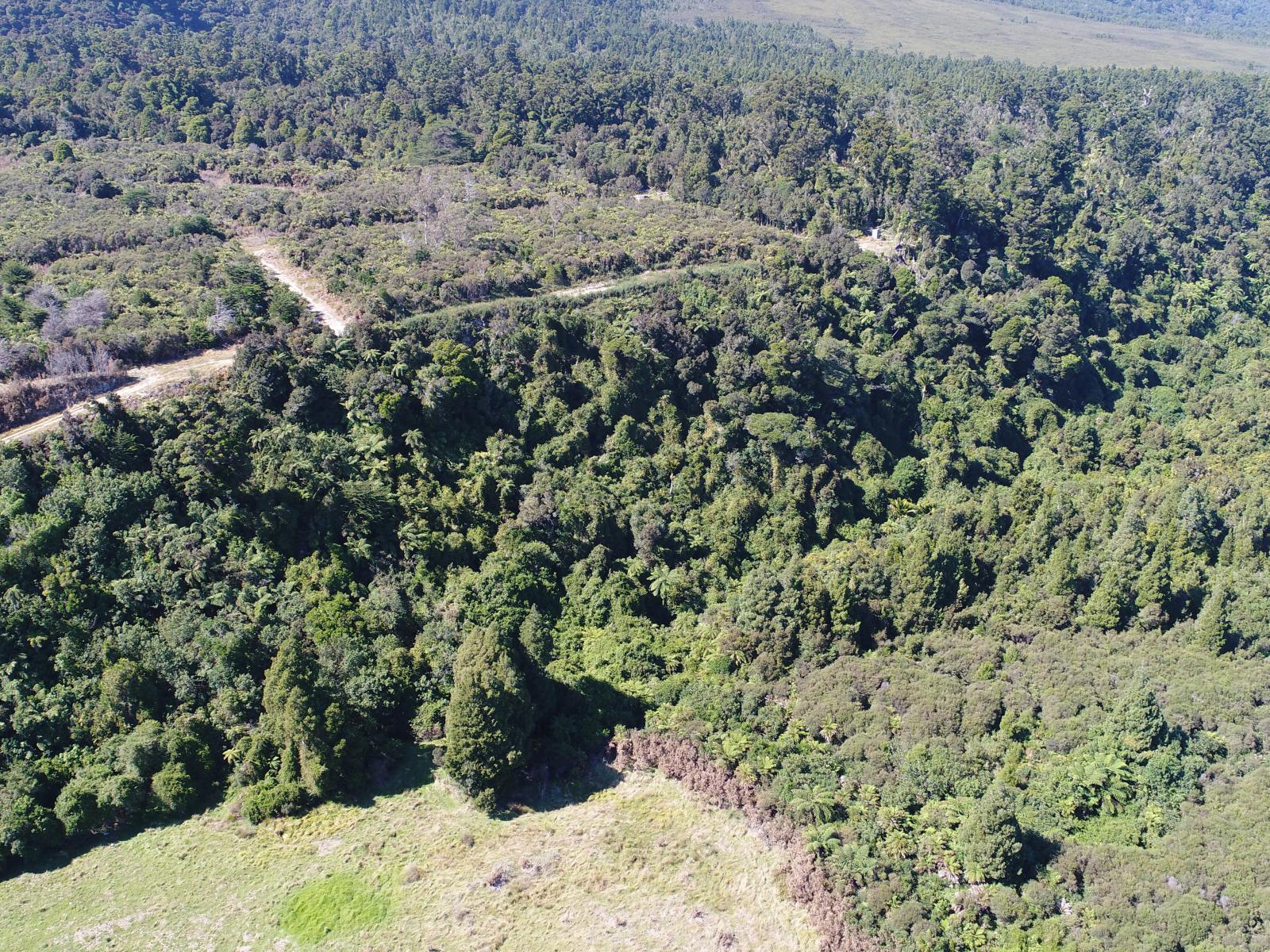 4, State Highway 67, Birchfield