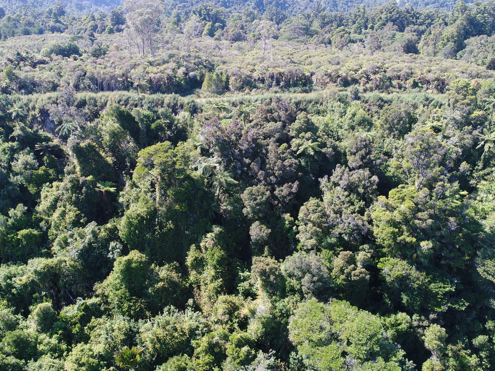 4, State Highway 67, Birchfield