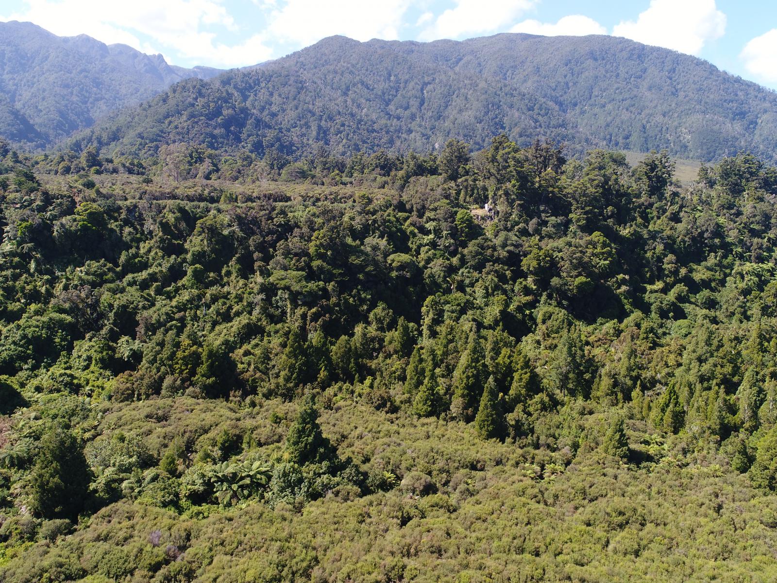 4, State Highway 67, Birchfield